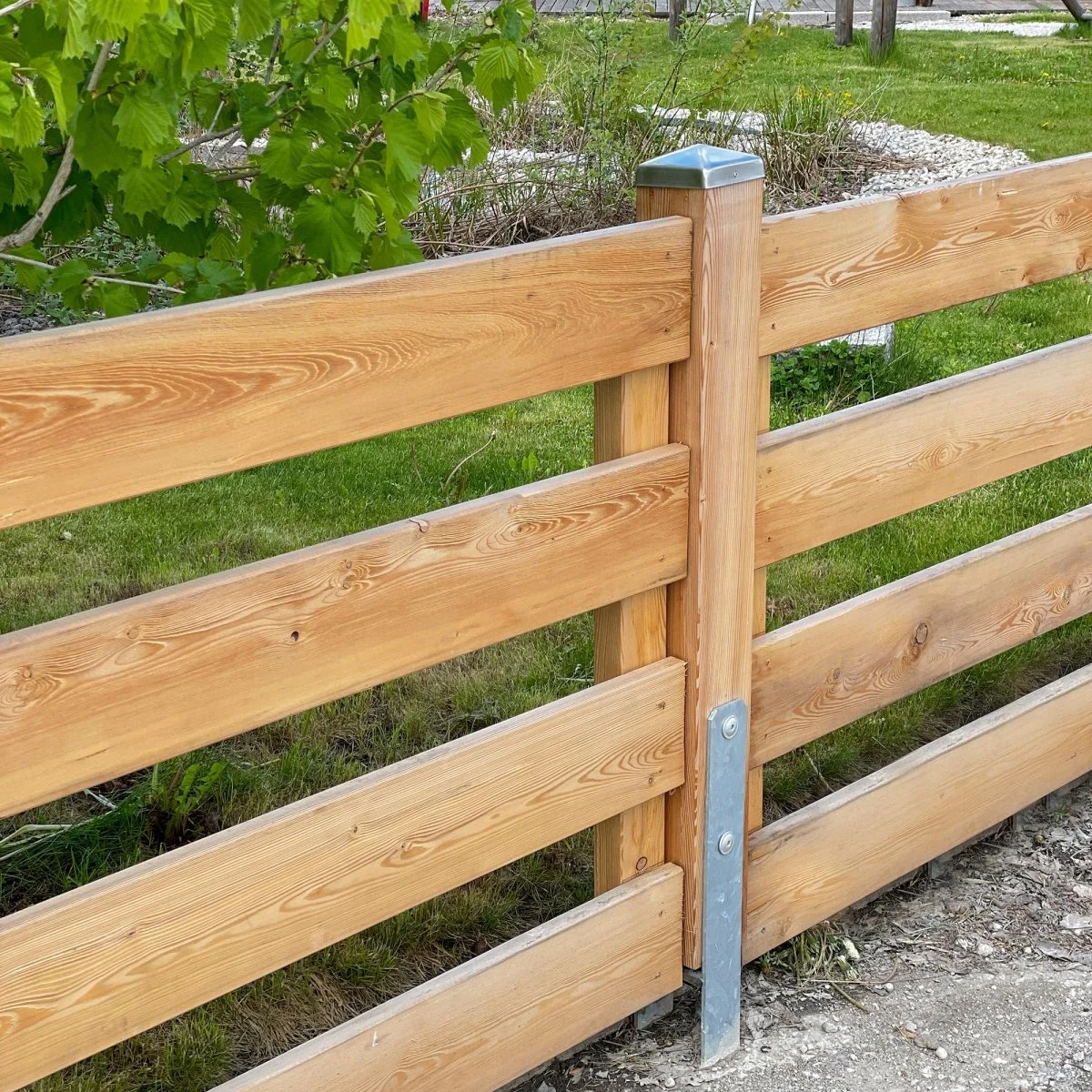 Einzelsteher Lärche passend für Gartenzaun - Image 4