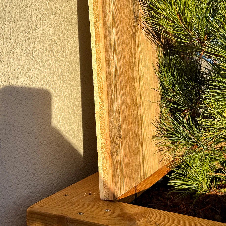 Wand- & Deckenelement Waldflüstern, Altholz gebürstet - Image 6
